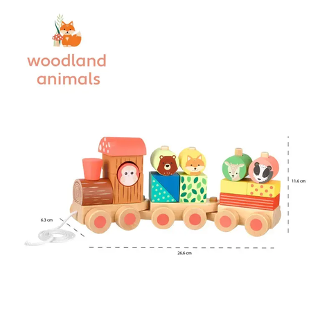 Дървено влакче за дърпане, сортер - Woodland Animals by Orange Tree Toys
