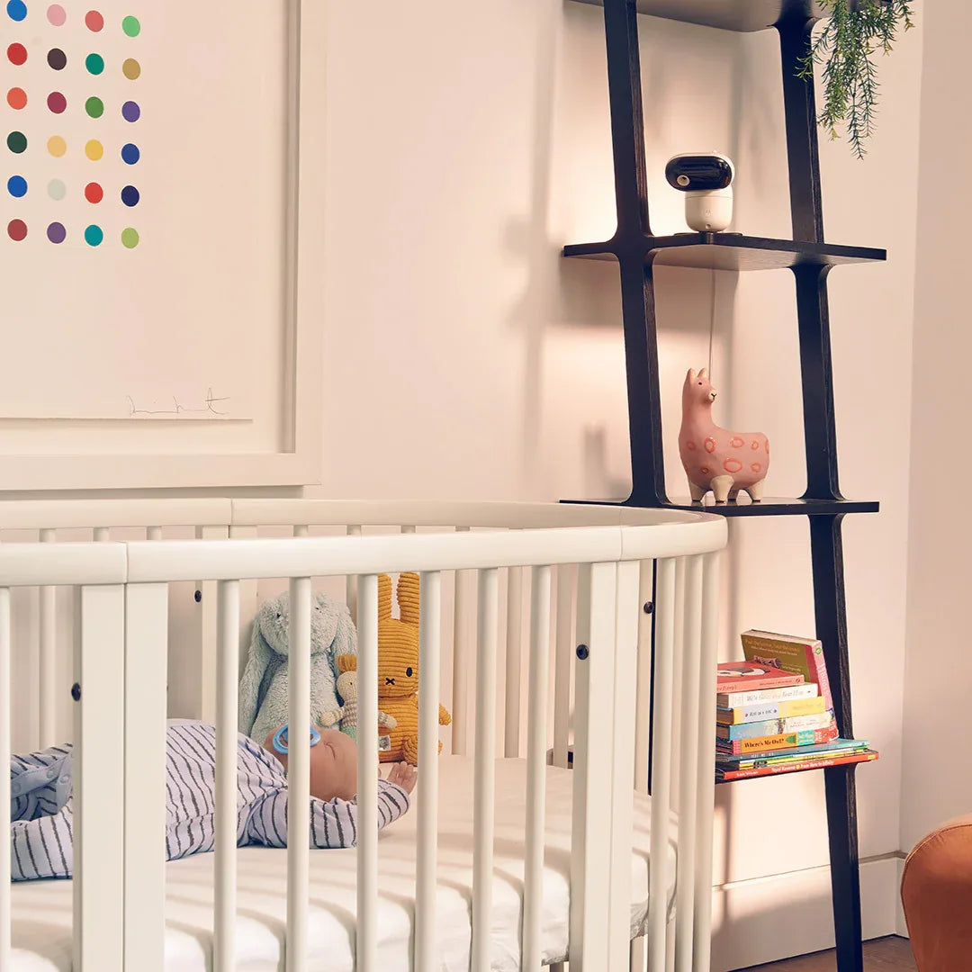 Motorola PIP1510 видео бебефон с камера by Motorola